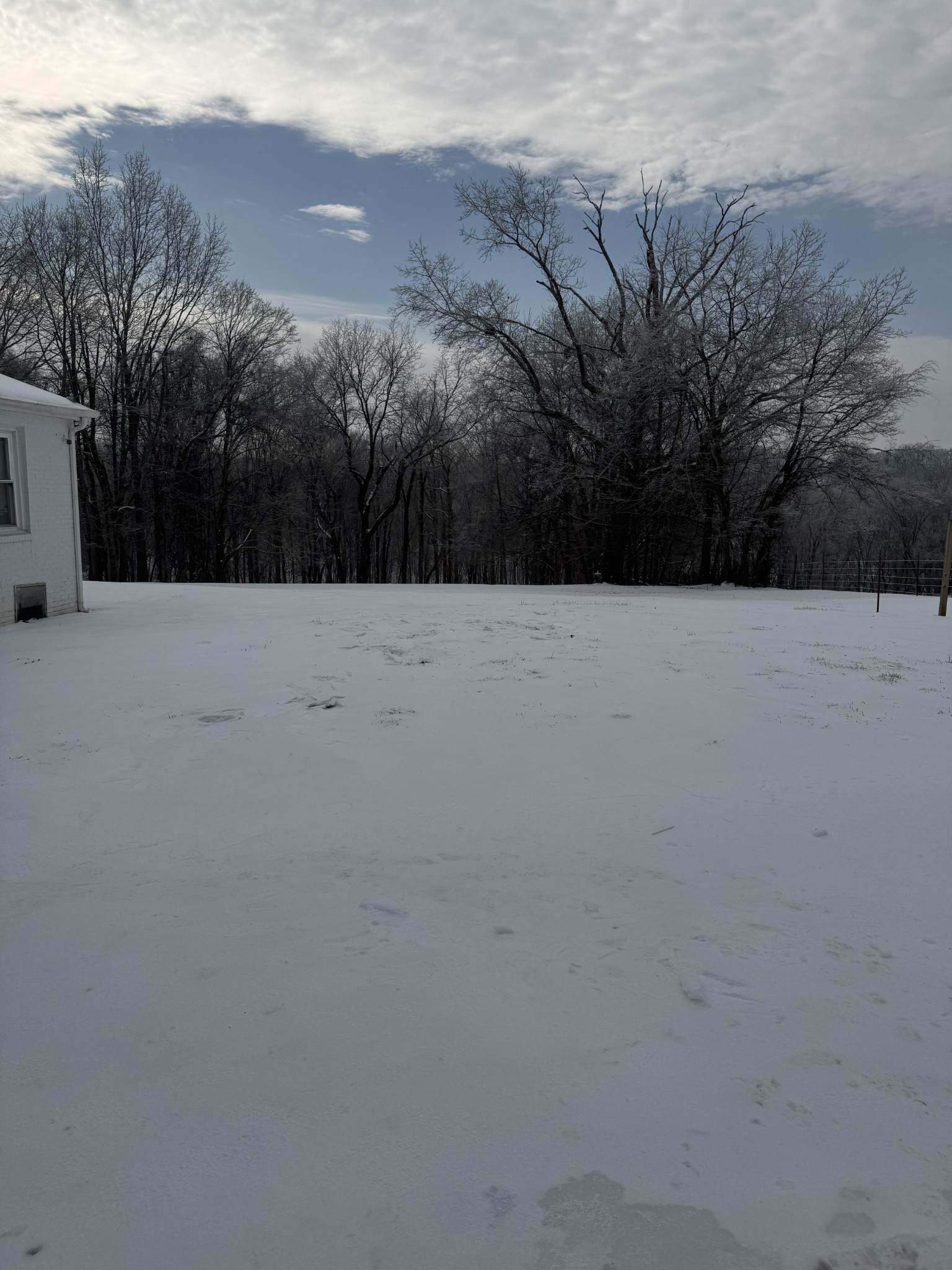 2124 Grants Chapel Road Adams, TN 37010 - Photo 4 of 7 Gallery Image 4