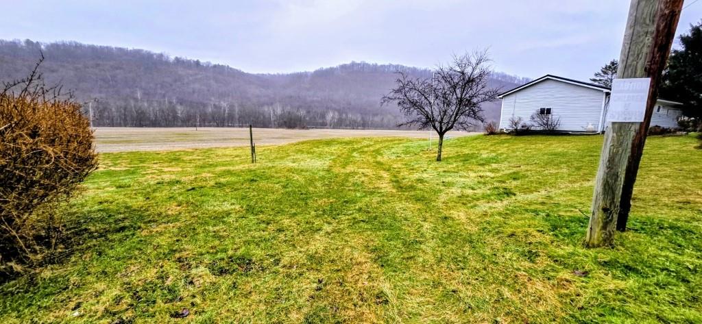 916 Indiana Avenue Avonmore, PA 15618 - Photo 31 of 32 a view of a house with a big yard and large tree