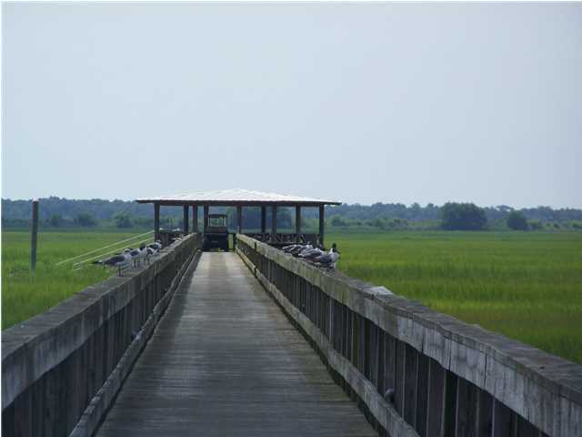 14 Longmarsh Road Awendaw, SC 29429 - Photo 6 of 8 Additional Photo