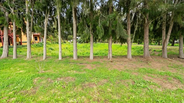 a bird view of a garden