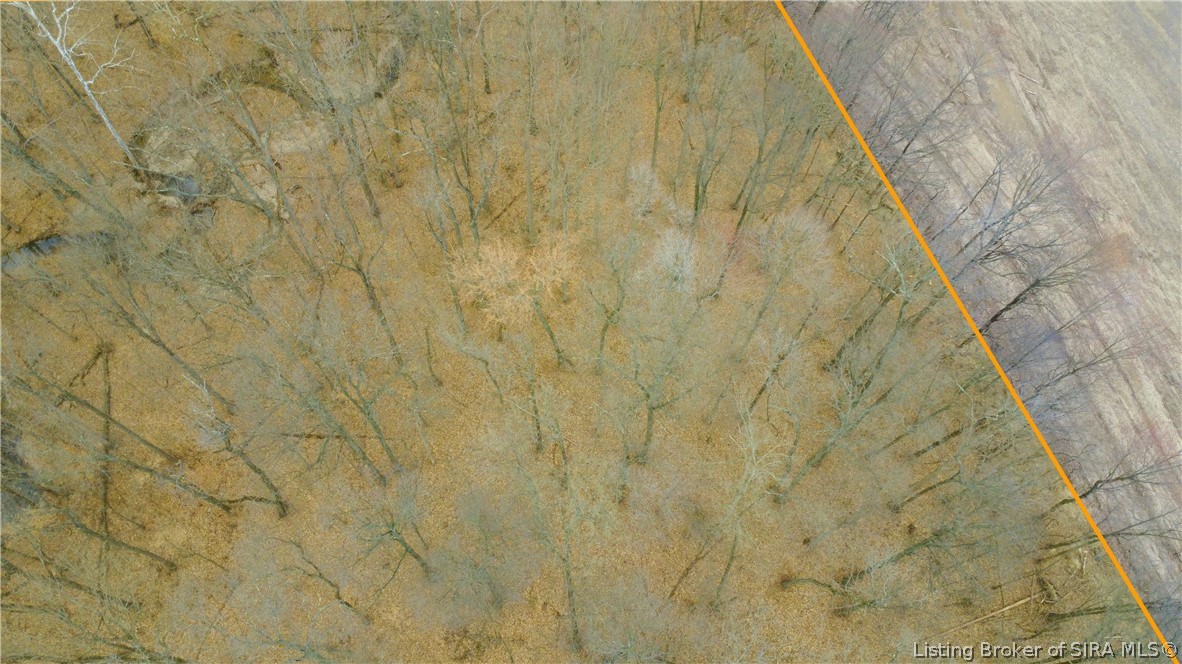 2900 Lemon Road Madison, IN 47250 - Photo 19 of 69