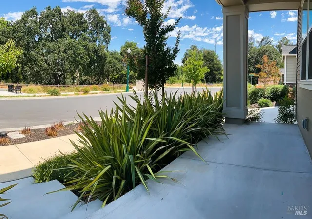 a view of a garden with plants and large trees