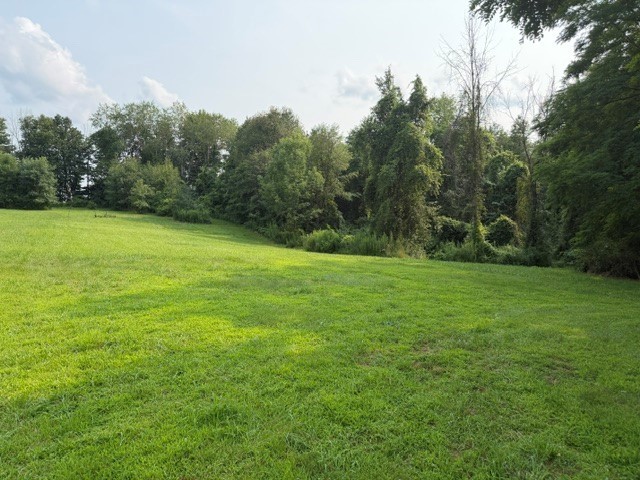 Maple Ridge Road Arcadia, NY 14513 - Photo 13 of 37