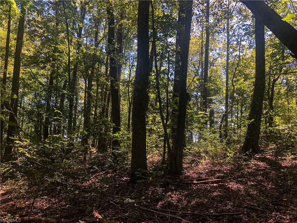 1013 Pell Road Pilot Mountain, NC 27041 - Photo 4 of 15 Gallery Image 4