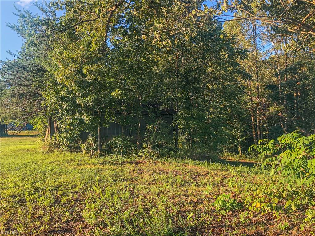1013 Pell Road Pilot Mountain, NC 27041 - Photo 8 of 15 Gallery Image 8