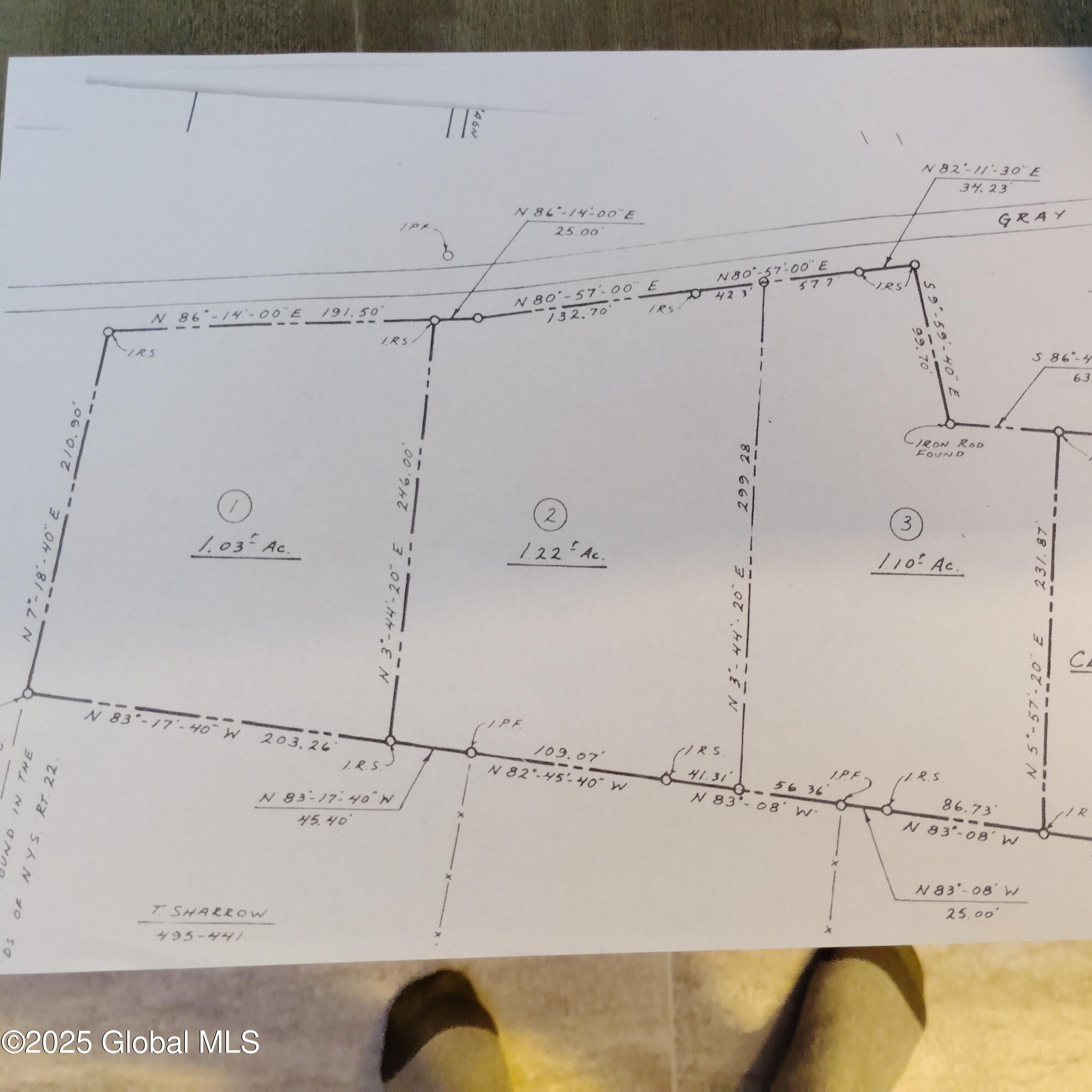 1 Grey Goose Road Whitehall, NY 12887 - Photo 1 of 2 Survey map
