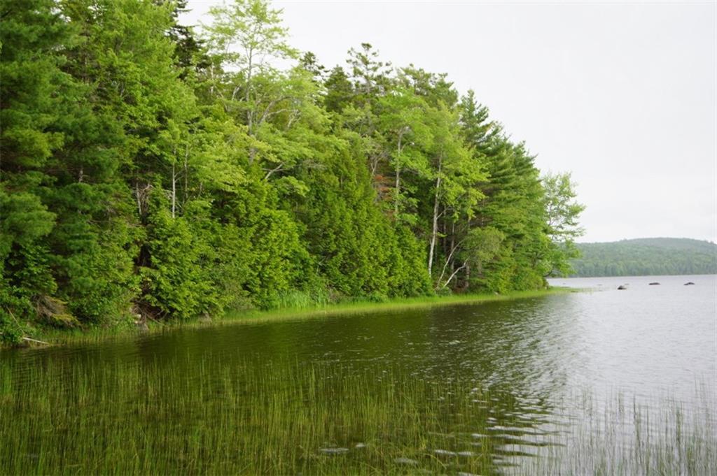 1 Middle Br Road Aurora, ME 04408 - Photo 13 of 13 Photo