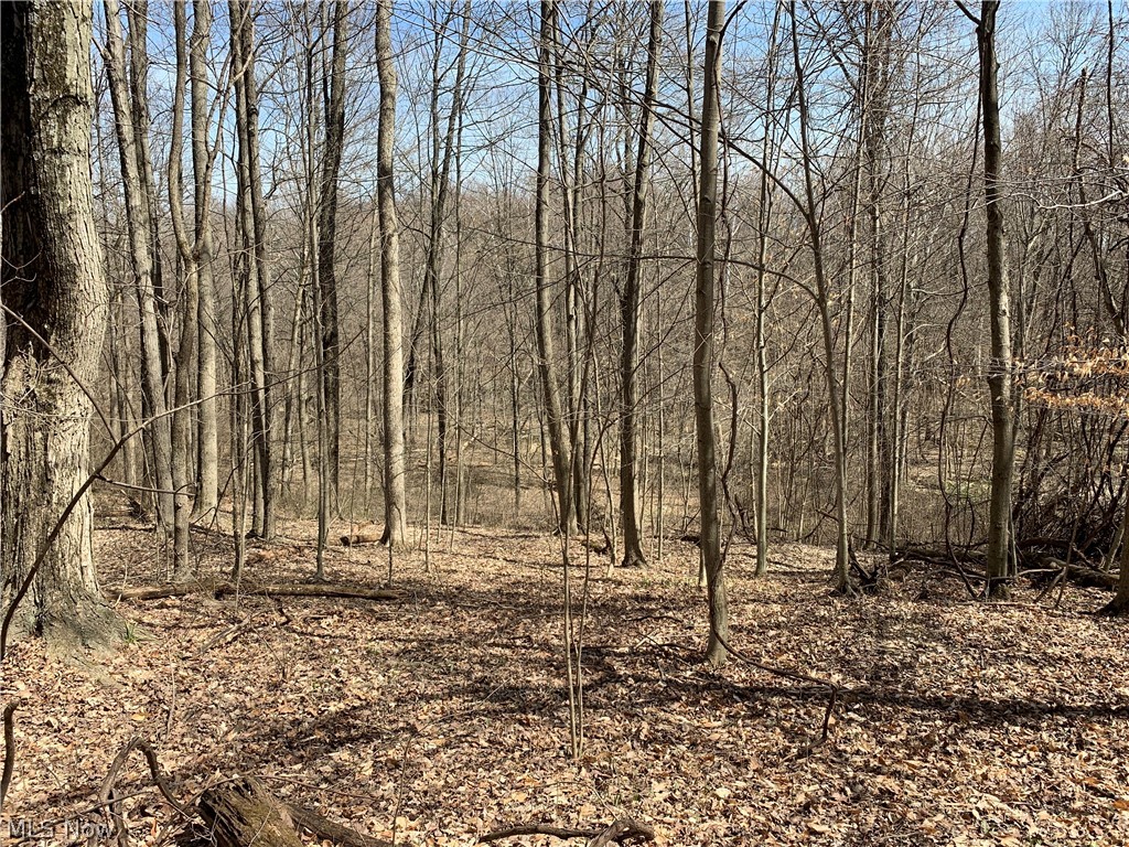 Crawford Road Homerville, OH 44235 - Photo 28 of 35 Gallery Image 28