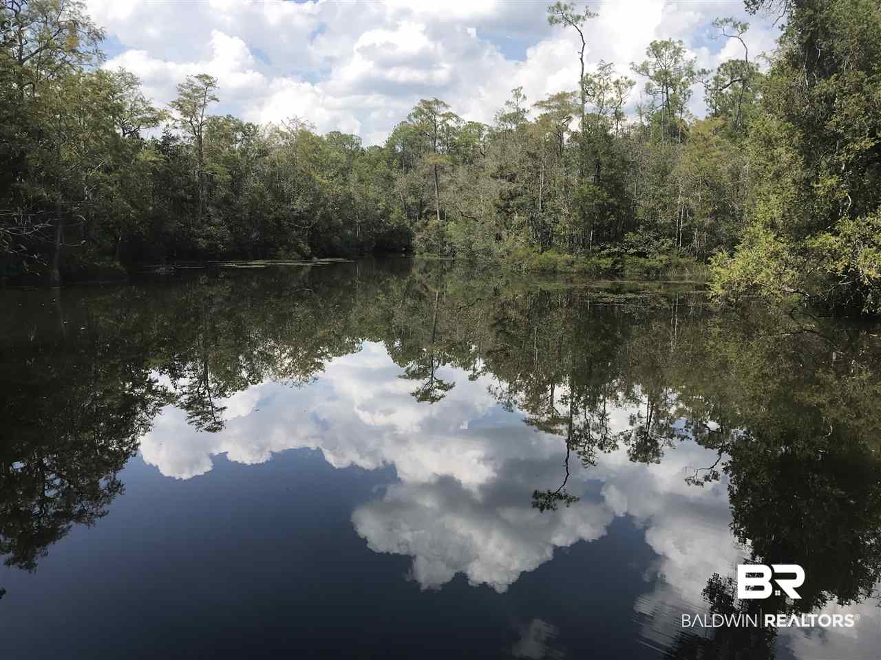33012 Juniper Road Seminole, AL 36574 - Photo 25 of 42 Styx River