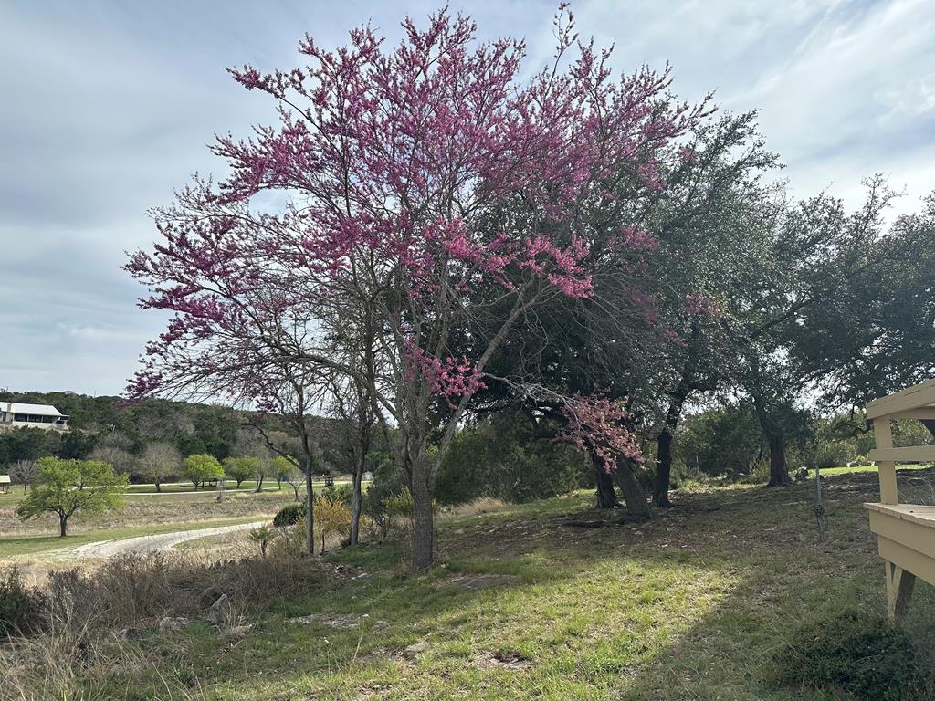 185 Cougar Park Road Hunt, TX 78024 - Photo 22 of 53