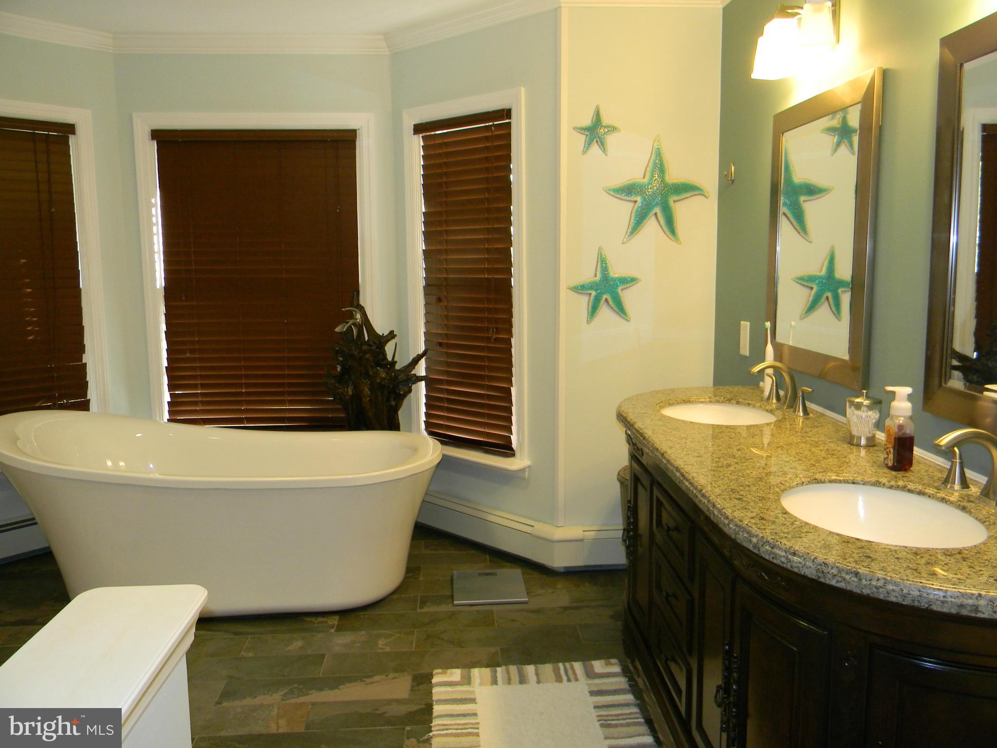 21 Boyd Road Rising Sun, MD 21911 - Photo 24 of 30 Bath (Master)