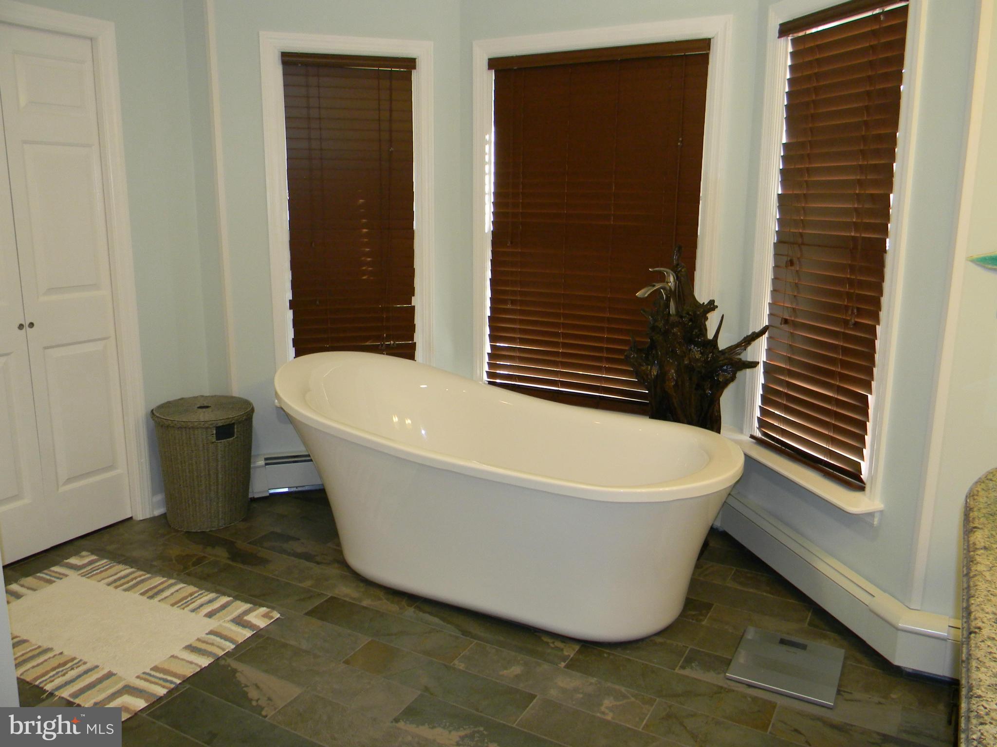 21 Boyd Road Rising Sun, MD 21911 - Photo 26 of 30 Bath (Master)