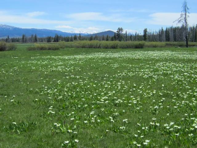 $2,500,000 | 21 Cow Camp Road, Stanley, ID 83278