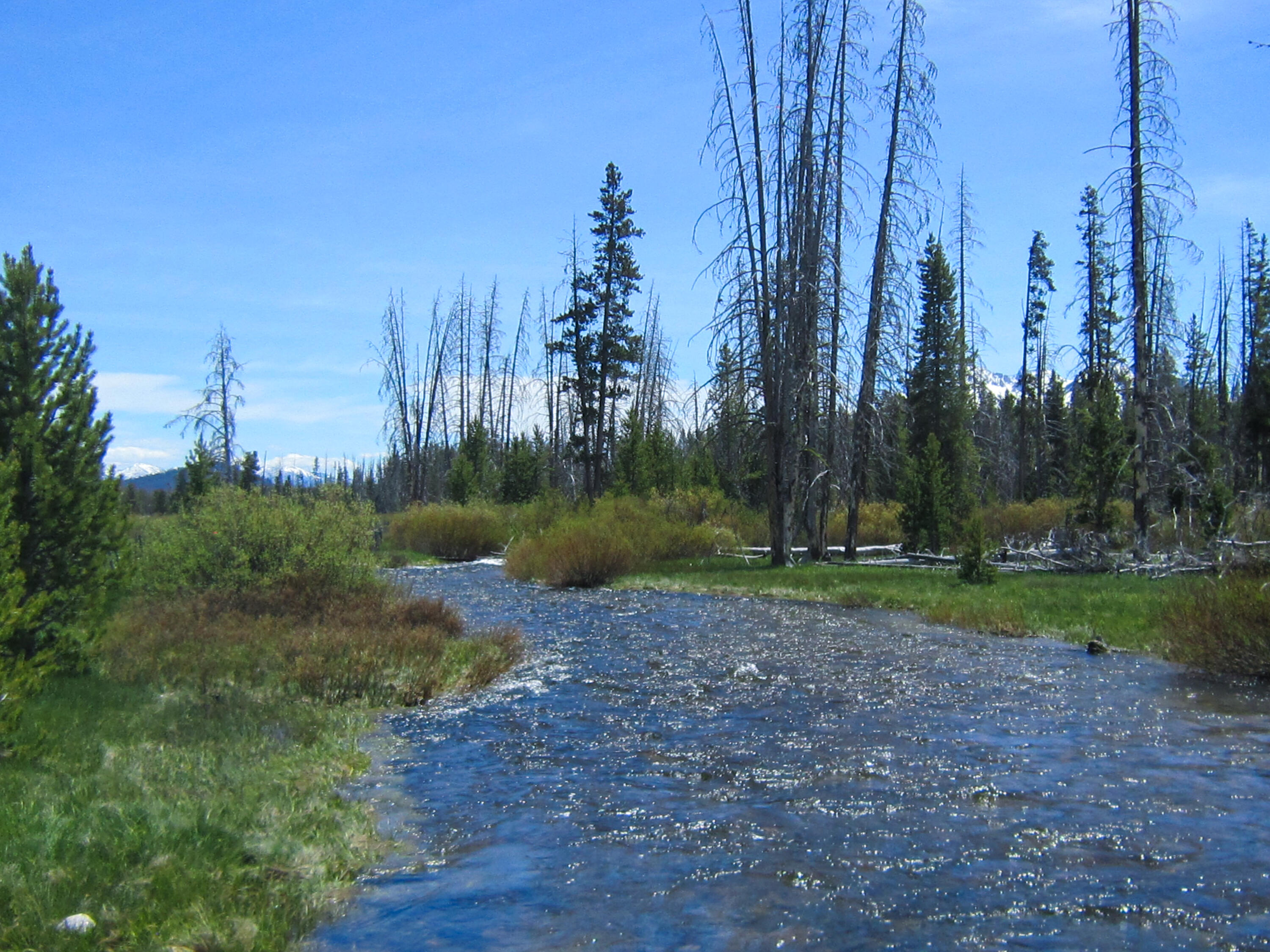 21 Cow Camp Road Stanley, ID 83278 - Photo 4 of 13 River
