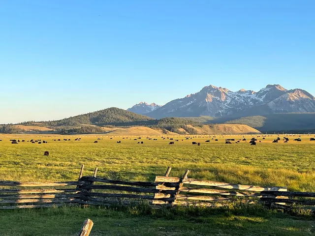 $2,500,000 | 21 Cow Camp Road, Stanley, ID 83278