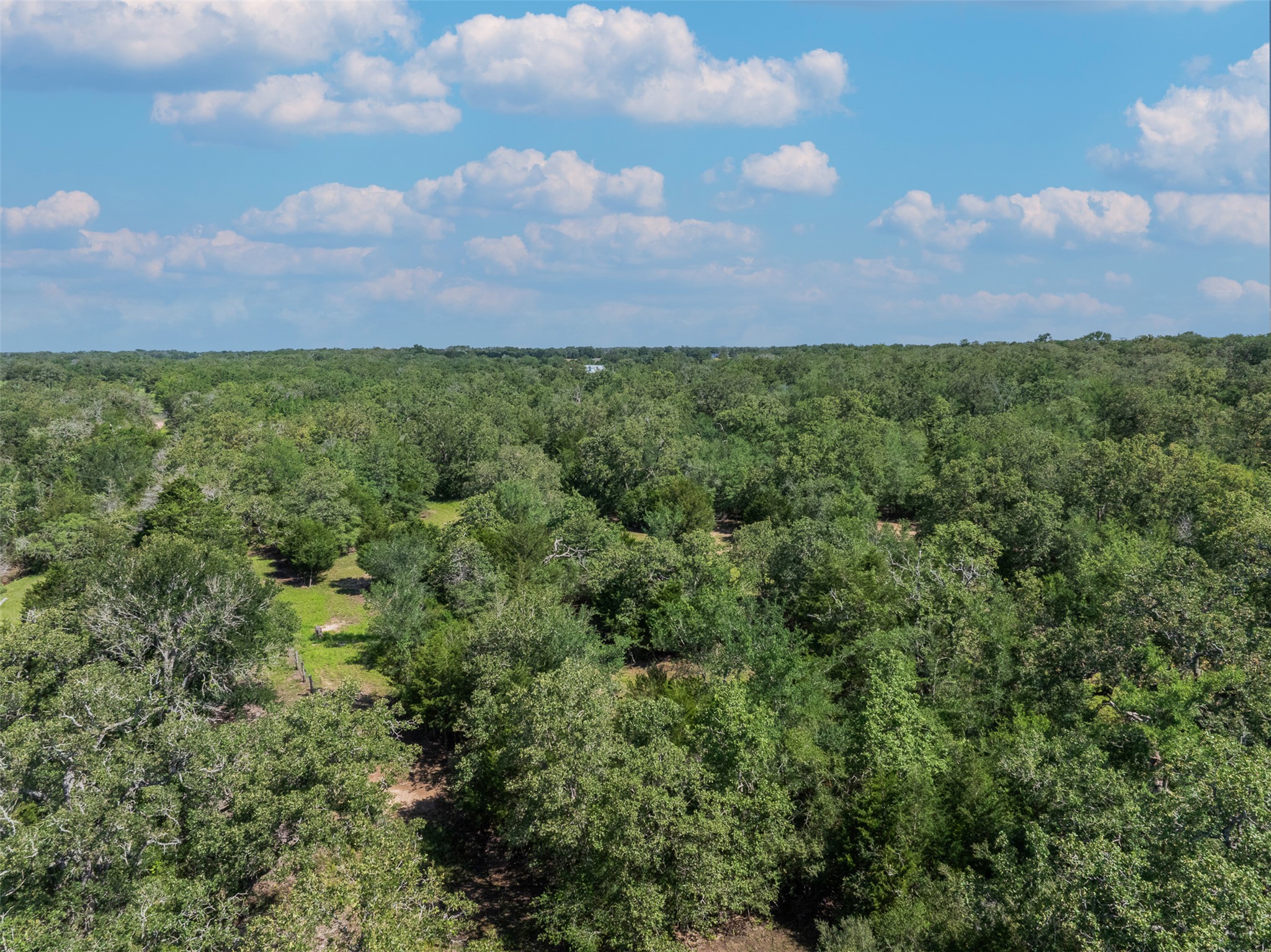 7132 Serenity Ranch Road Somerville, TX 77879 - Photo 22 of 27