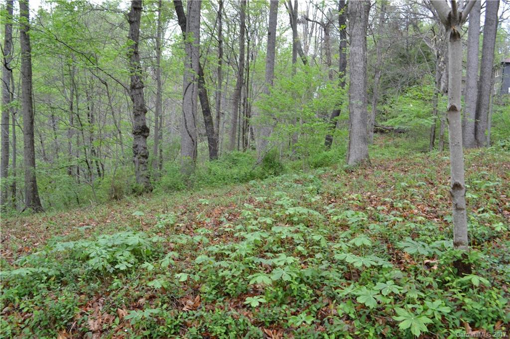 22 Pickwick Road Asheville, NC 28803 - Photo 14 of 16 Gallery Image 14