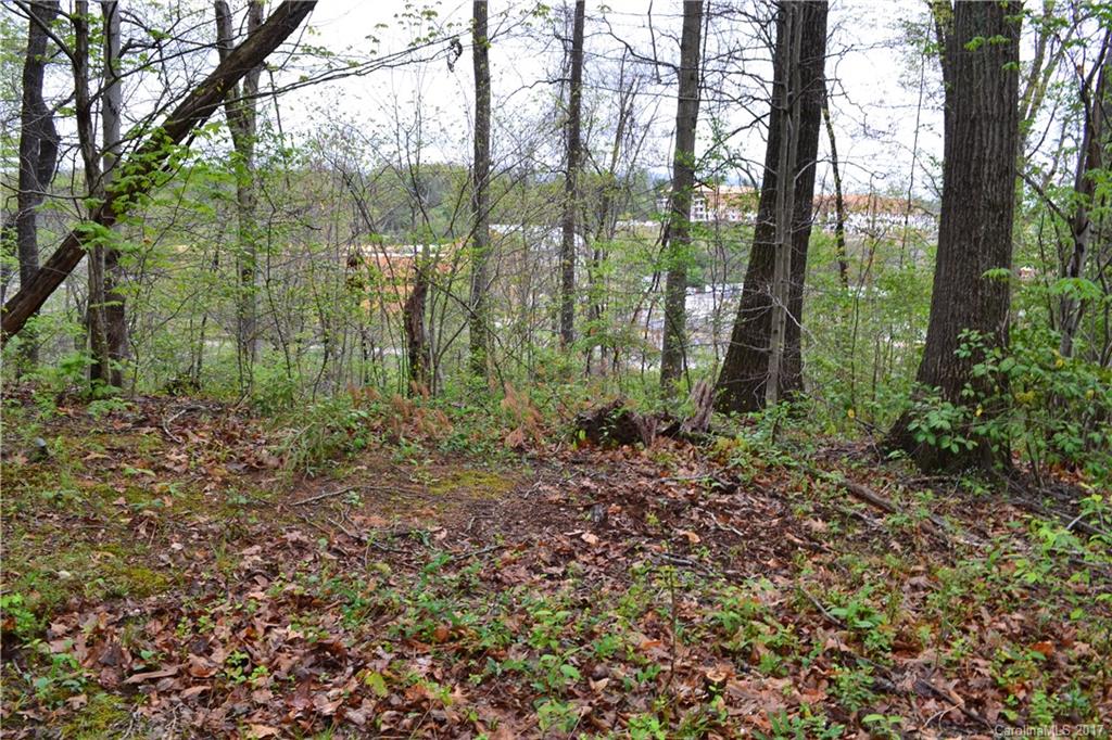 22 Pickwick Road Asheville, NC 28803 - Photo 8 of 16 Gallery Image 8