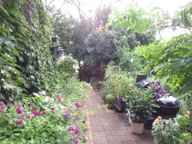 108 South Pinecrest Road Bolingbrook, IL 60440 - Photo 17 of 22