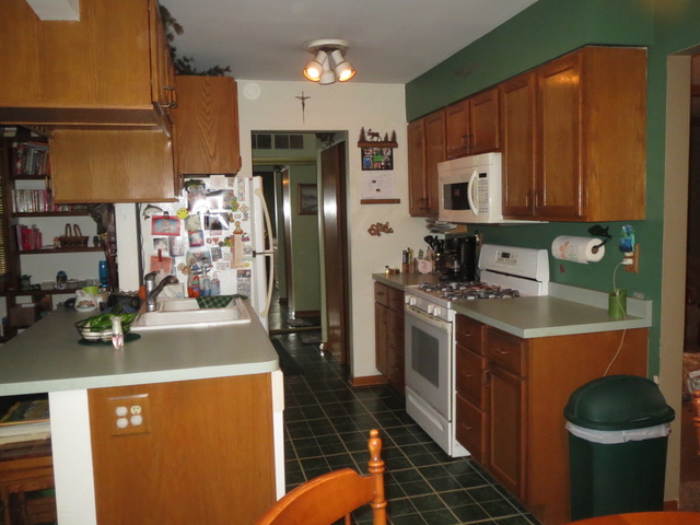 108 South Pinecrest Road Bolingbrook, IL 60440 - Photo 5 of 22