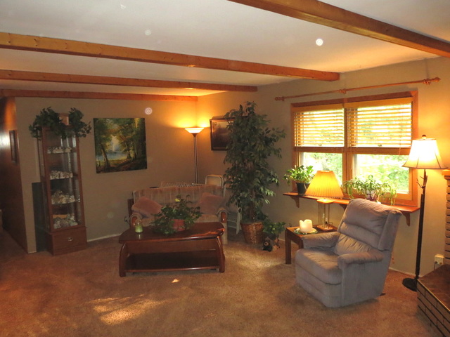 108 South Pinecrest Road Bolingbrook, IL 60440 - Photo 8 of 22