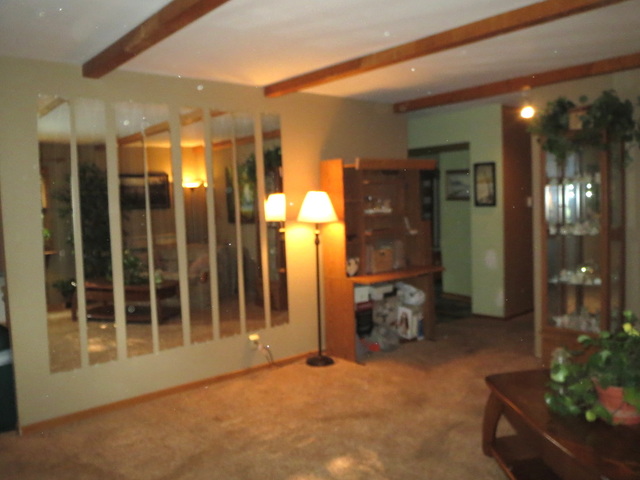 108 South Pinecrest Road Bolingbrook, IL 60440 - Photo 9 of 22