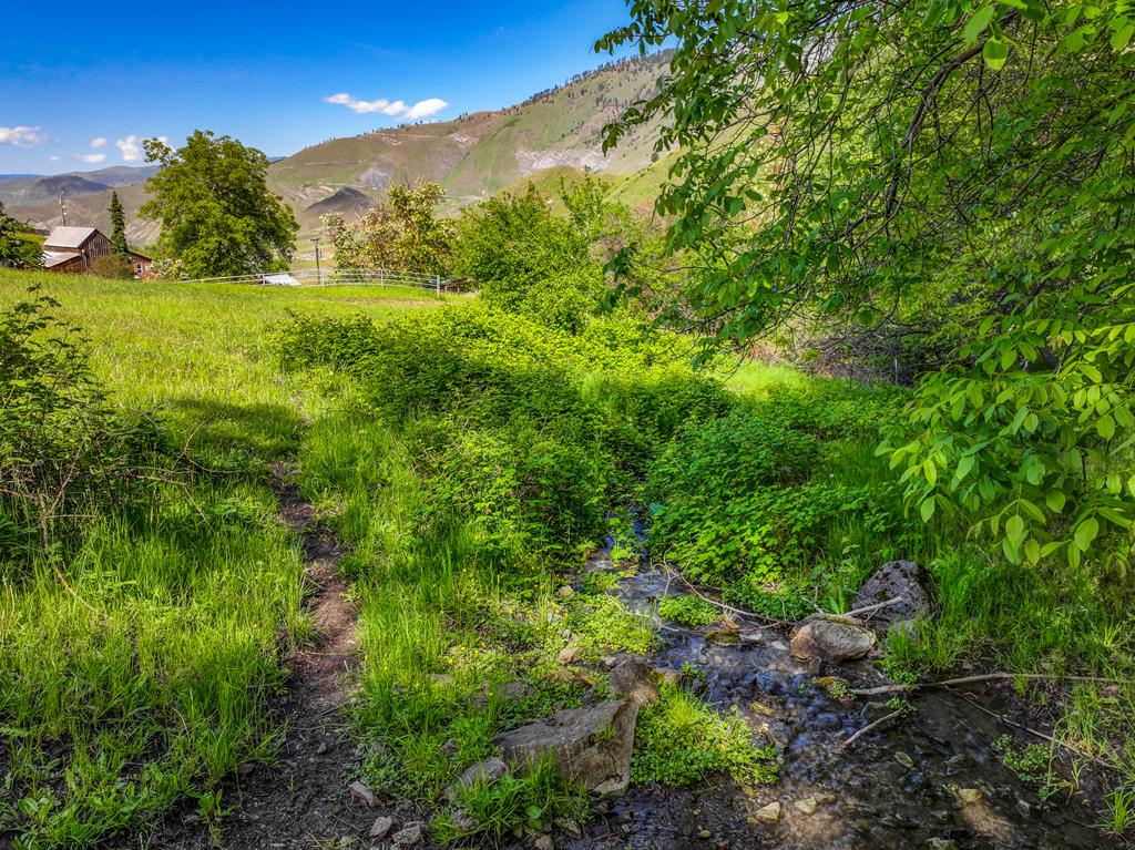255 Seven U Ranch Road Lucile, ID 83542 - Photo 45 of 47 Elfers Creek