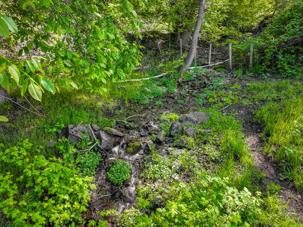 255 Seven U Ranch Road Lucile, ID 83542 - Photo 46 of 47 Elfers Creek and surrounding mountains
