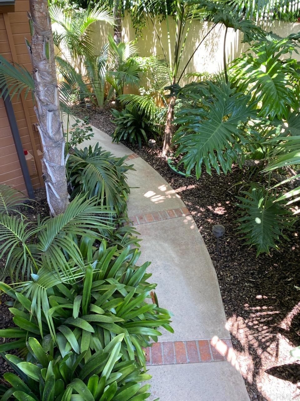 714 Passiflora Avenue, Unit 1 Encinitas, CA 92024 - Photo 7 of 14 a view of a garden with plants