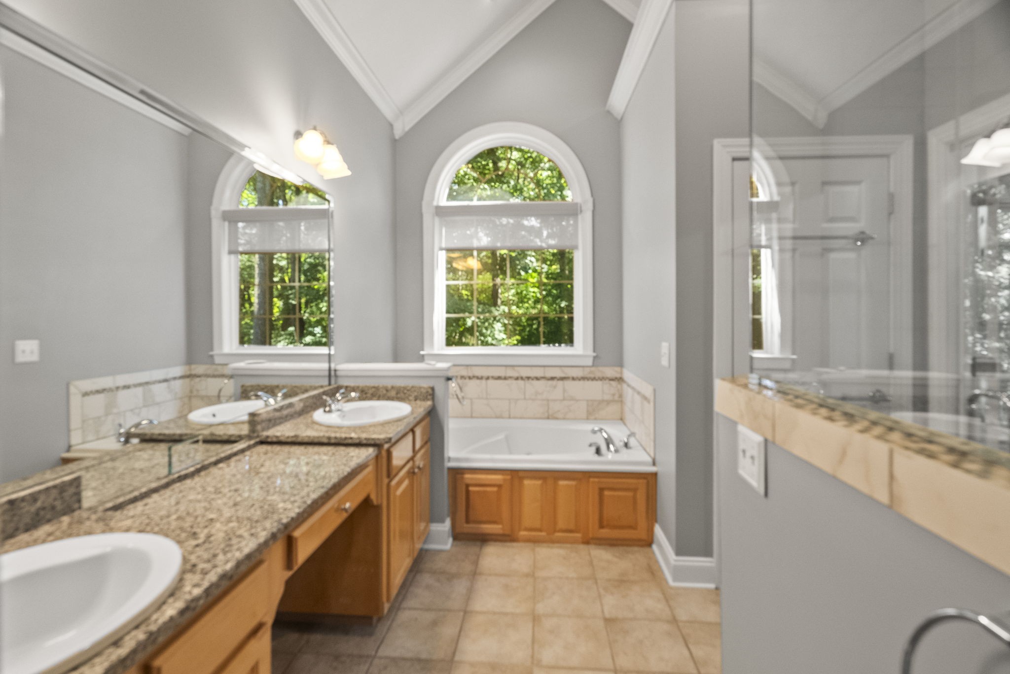 205 Yearling Trace Pleasant View, TN 37146 - Photo 18 of 29 a bathroom with a granite countertop tub sink and mirror