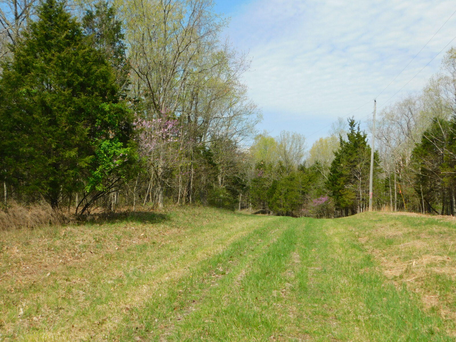 1 Turkey Ridge Road Corinth, KY 41010 - Photo 30 of 38