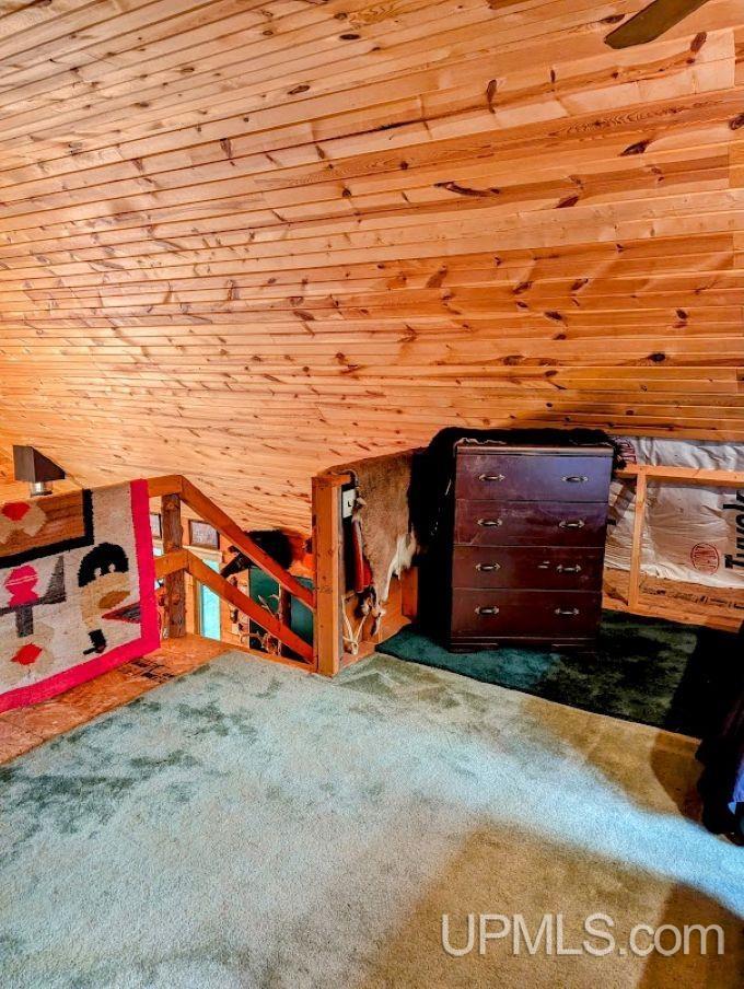 325 Mastodon Road Crystal Falls, MI 49920 - Photo 17 of 39