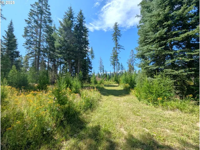 $739,000 | 58472 Highway 204, Weston, OR 97886