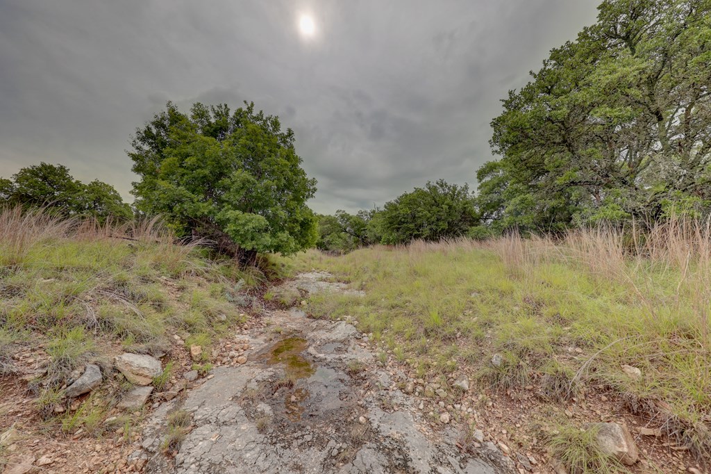 8177 Wendel Road Harper, TX 78631 - Photo 28 of 32 a view of a lake with a tree in the background