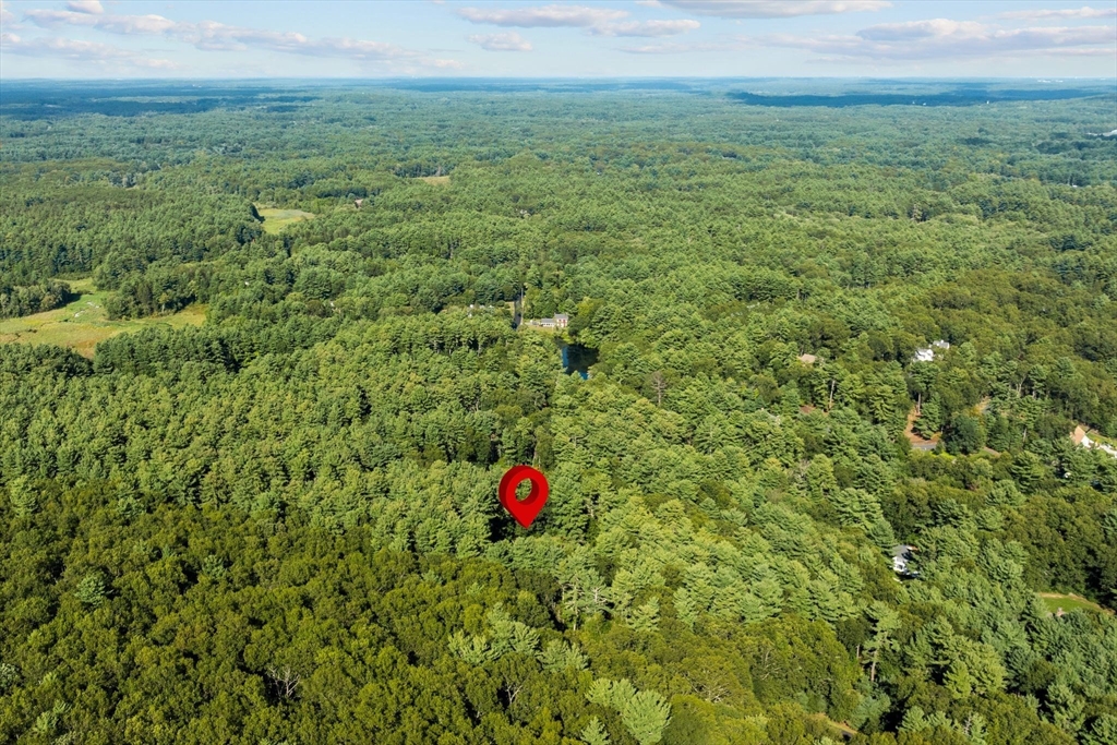 123 Dutton Road Sudbury, MA 01776 - Photo 40 of 41