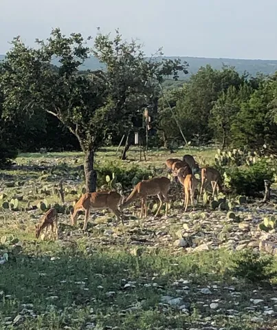 $699,900 | 1031 Shin Oak Road, Unit 32, Menard, TX 76859