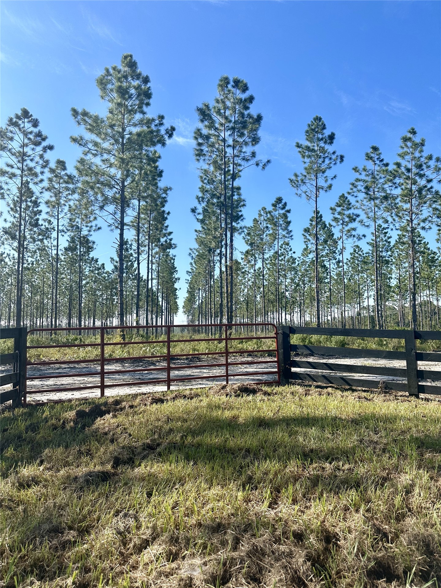 172746 Andrews Road Hilliard, FL 32046 - Photo 4 of 6 a view of outdoor space and yard