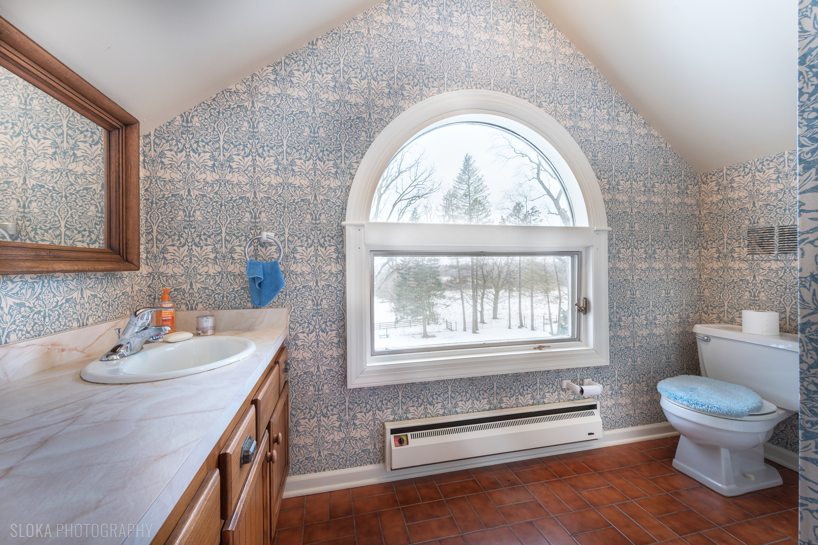 26999 West Cuba Road Barrington, IL 60010 - Photo 24 of 36