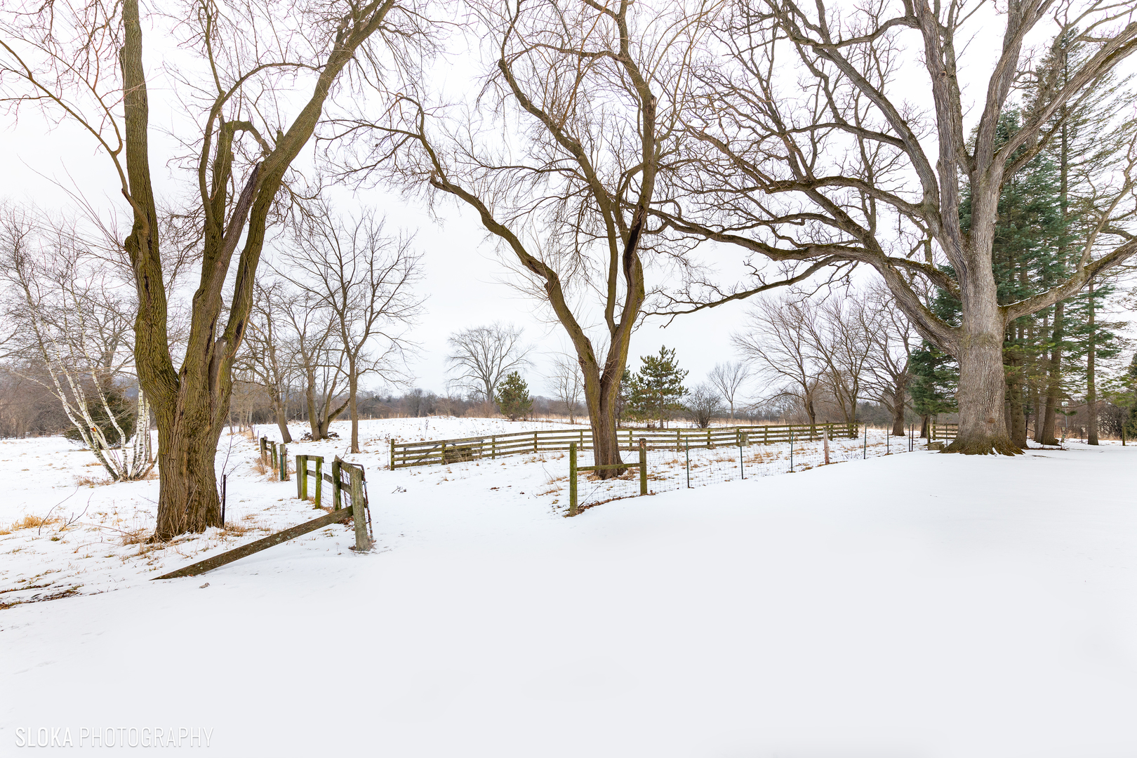 26999 West Cuba Road Barrington, IL 60010 - Photo 4 of 36