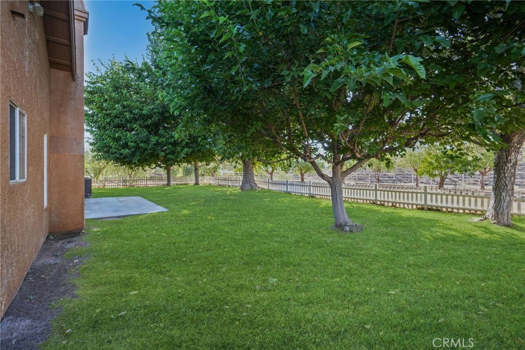11709 Mint Canyon Road Agua Dulce, CA 91390 - Photo 29 of 49 a view of green field with a tree