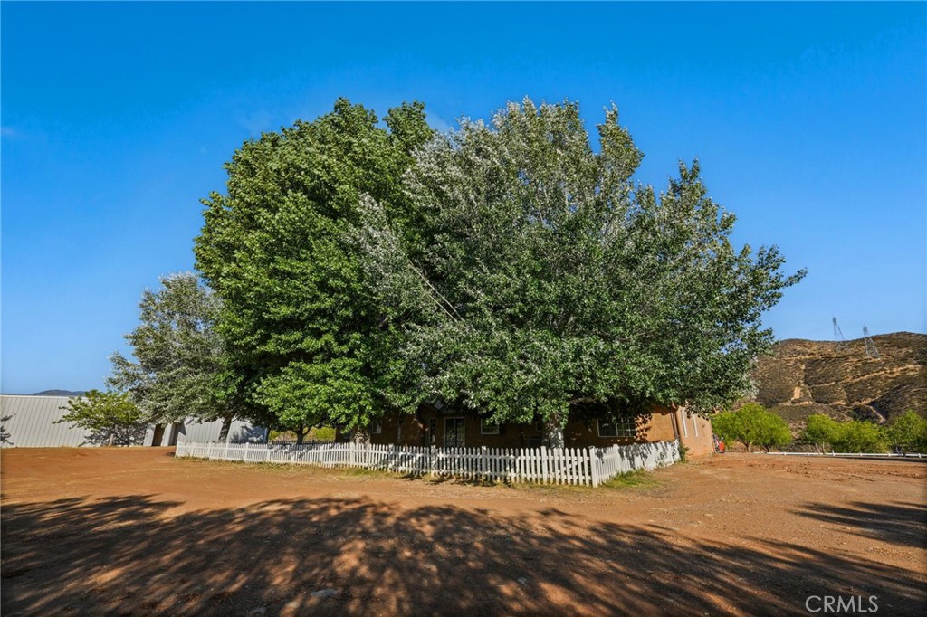 11709 Mint Canyon Road Agua Dulce, CA 91390 - Photo 31 of 49 a view of a yard with plants and trees
