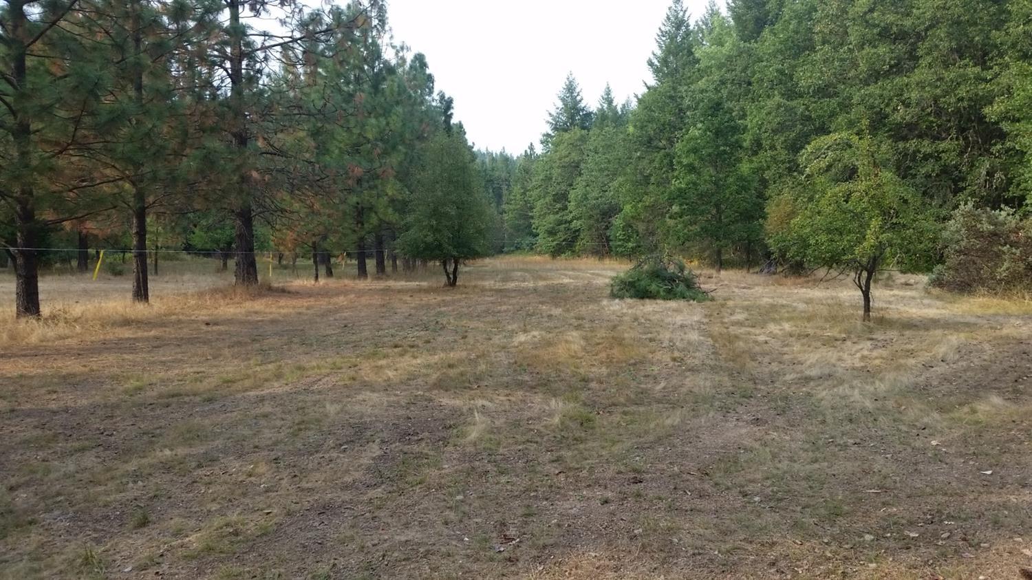 1450 Reeves Creek Road Selma, OR 97538 - Photo 1 of 6 Primary Photo