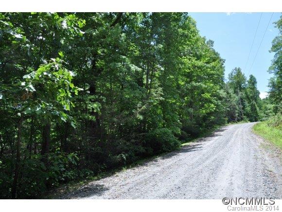 16 Ridgecrest Drive, Unit 16 Lake Lure, NC 28746 - Photo 1 of 24 a view of a dry yard with trees in the background