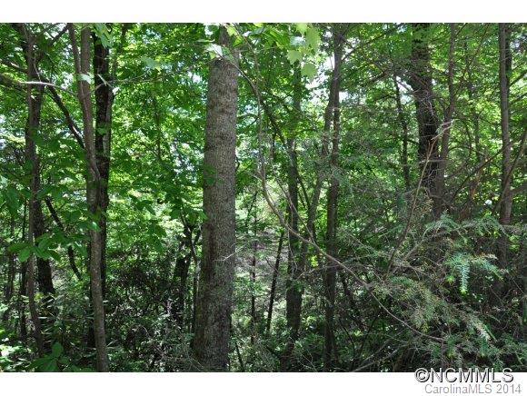 16 Ridgecrest Drive, Unit 16 Lake Lure, NC 28746 - Photo 2 of 24 a view of a lush green forest with lots of trees
