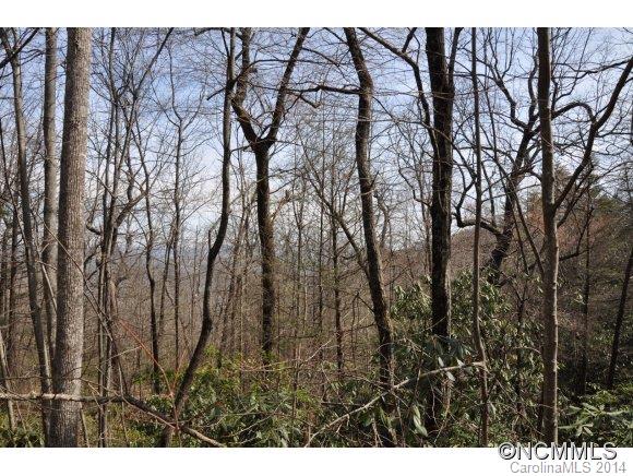 16 Ridgecrest Drive, Unit 16 Lake Lure, NC 28746 - Photo 11 of 24 a view of outdoor space
