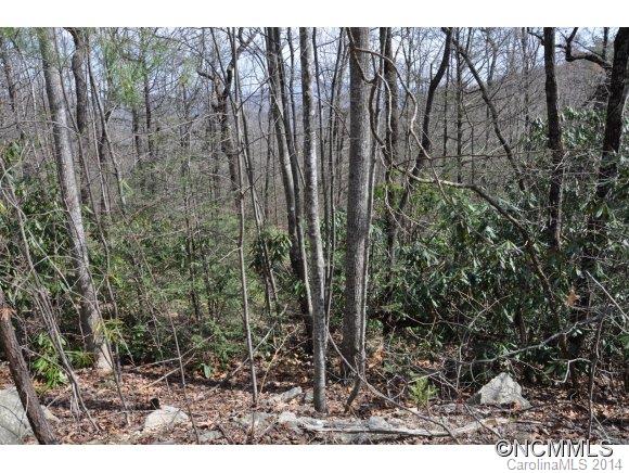 16 Ridgecrest Drive, Unit 16 Lake Lure, NC 28746 - Photo 12 of 24 a view of outdoor space and garden
