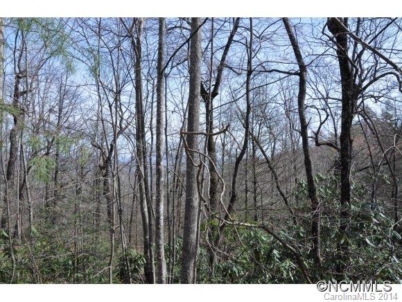16 Ridgecrest Drive, Unit 16 Lake Lure, NC 28746 - Photo 13 of 24 a view of outdoor space