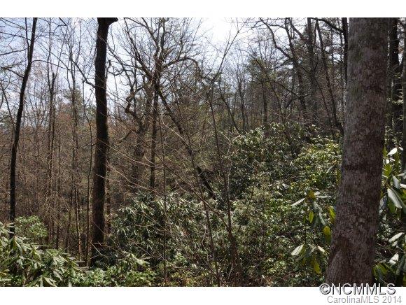 16 Ridgecrest Drive, Unit 16 Lake Lure, NC 28746 - Photo 14 of 24 a view of outdoor space and green space