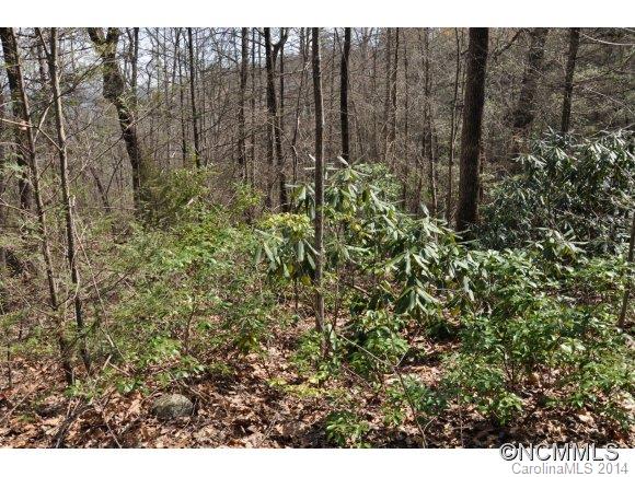 16 Ridgecrest Drive, Unit 16 Lake Lure, NC 28746 - Photo 15 of 24 a view of outdoor space and green space