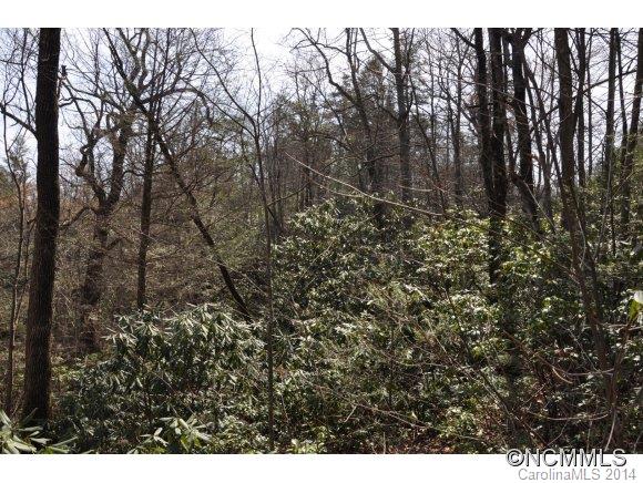 16 Ridgecrest Drive, Unit 16 Lake Lure, NC 28746 - Photo 16 of 24 a view of a forest with lots of trees